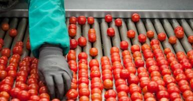 Andalucía pide que se intensifiquen los controles al tomate que llega de Marruecos