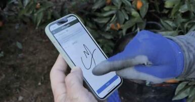 La plataforma que lleva el reconocimiento facial al campo para facilitar la gestión laboral