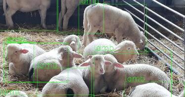 Oferta cárnica con calidad homogénea gracias a la Inteligencia Artificial