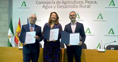 Sostenibilidad máxima para el algodón de Andalucía