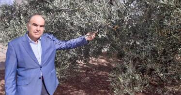 El ‘rey del aceite’ avanza cuál será el precio durante esta campaña: «Túnez es un competidor muy importante»
