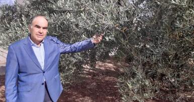 El ‘rey del aceite’ avanza cuál será el precio durante esta campaña: «Túnez es un competidor muy importante»