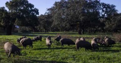 Ya se intuía en enero