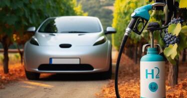 Obtienen hidrógeno de los sarmientos de la vid para producir biocombustible