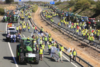 El campo andaluz se rebela contra los ‘alimentos kilométricos’ y tacha de «hipócrita» a la UE