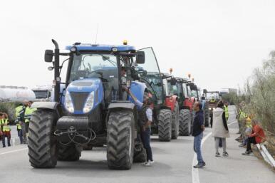 El campo andaluz abre la puerta a nuevas movilizaciones en septiembre «si el Ministerio no actúa»