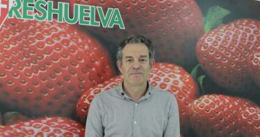 «Los mercados exteriores no han dejado de valorar nunca la calidad de nuestra fresa»