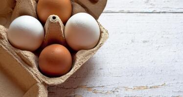 Nueva norma sobre comercialización de huevos: estas son las novedades