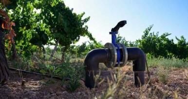 Las fincas de riego suben de precio en Córdoba por su mayor demanda