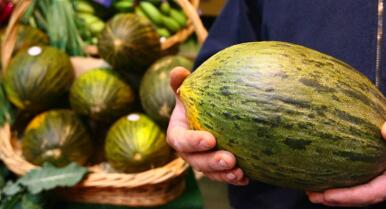 Las lluvias de marzo salvan la campaña del melón en Córdoba
