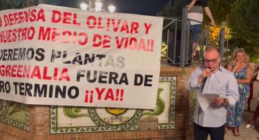 Agricultores de Jaén, contra las megaplantas solares: «Quieren arrancar más de 20.000 olivos»