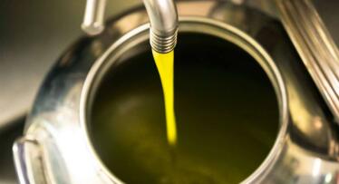 La cosecha  de aceite de oliva en Andalucía será un 5,5% más baja respecto a la campaña pasada