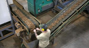 Los frutos secos siguen creciendo y se convertirán en el segundo gran negocio de Dcoop