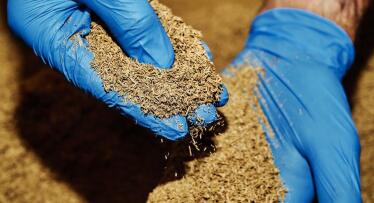 Los restos de poda del olivar recubren paneles solares eficientes