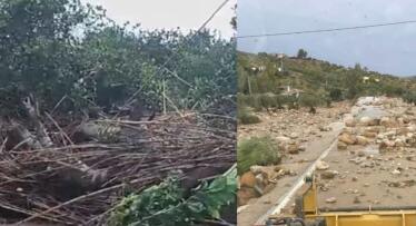 La Junta activa ayudas para las 14.000 hectáreas dañadas por la DANA en Andalucía