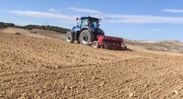 El cereal andaluz, atrapado entre costes históricos y precios ruinosos