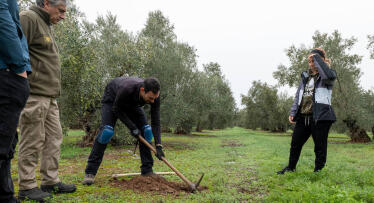 El proyecto C-Olivar avanza en la medición del secuestro de carbono en el olivar