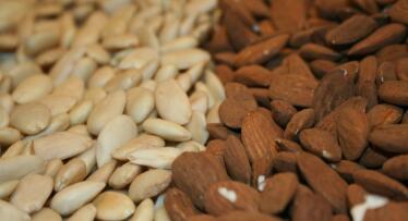 Andalucía reclama la inclusión de Granada en las ayudas directas por sequía