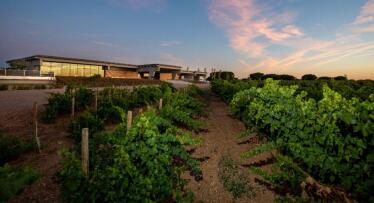 González Byass reduce un 22% sus emisiones y avanza en sostenibilidad con su memoria 2023-2024