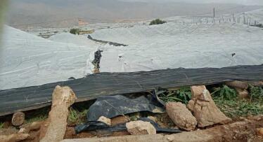 Asaja y COAG Almería exigen al Gobierno la rebaja fiscal tras el informe de la Junta sobre daños en el campo