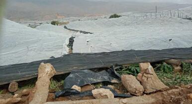 Asaja y COAG Almería exigen al Gobierno la rebaja fiscal tras el informe de la Junta sobre daños en el campo