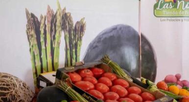 Miguel Ángel Gavira: «Este año tendremos dos campañas excelentes de tomate en Los Palacios»