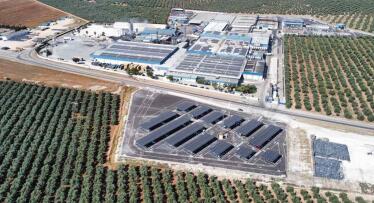 La diversificación internacional eleva las ventas de Agrosevilla un 19%, alcanzando los 238 millones en 2024