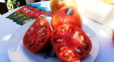 El ‘huevo de toro rojo’: el tomate gourmet que solo crece en Málaga y cuesta más que un chuletón