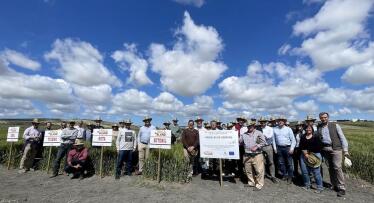 Ya es posible conseguir un pan 100% andaluz gracias a dos variedades de trigo blando de alta calidad