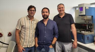 Investigadores andaluces convierten la paja de trigo en lubricantes y asfaltos sostenibles