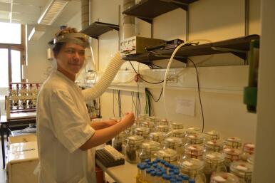 Científicos andaluces desarrollan un tratamiento con purines de cerdo que minimiza la contaminación