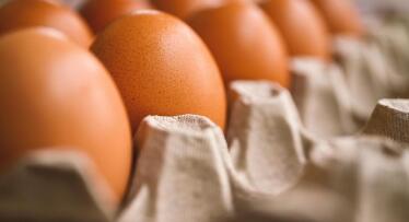 El ministro Planas explica las claves de la subida del precio de los huevos: «Puede haber más incidencias»