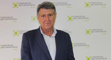 Las cooperativas reclaman en Bruselas que la retirada de aceite de oliva por bajos precios se haga a nivel europeo