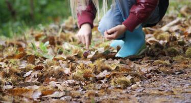 Olvida las patatas fritas: el snack de otoño que sacia, es bajo en grasa y está delicioso