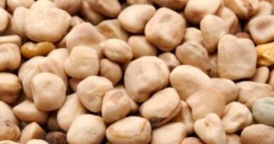 Variedades de almorta ‘made in Córdoba’ para crear una DOP en Ciudad Real