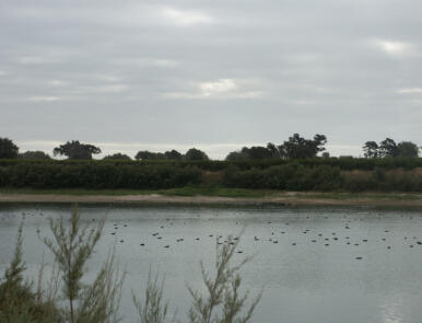 La Junta deja fuera a los pueblos sevillanos de las ayudas del Acuerdo de Doñana