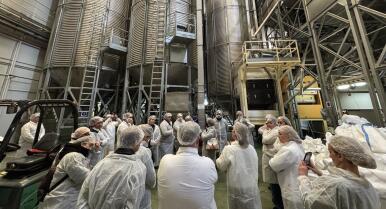 Acaba la campaña de arroz en Sevilla superando las 110.000 toneladas