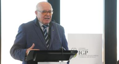 La aceituna sevillana reivindica su calidad como valor añadido: «No podemos competir con aceitunas baratas»