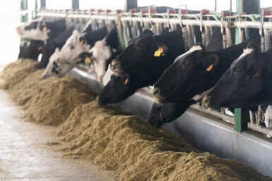 Logran que cada litro de leche de Covap contamine un 18% menos: «Equivale a retirar 56.000 coches de la carretera»