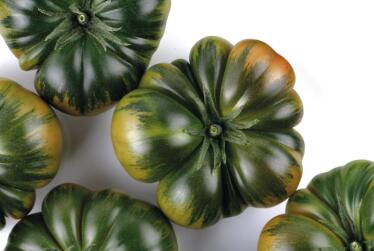 El tomate ‘pata negra’ que solo se cultiva en Almería y que ha conquistado al mercado