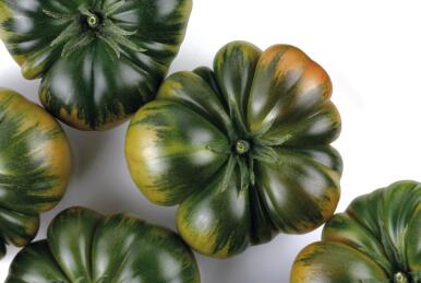 El tomate ‘pata negra’ que solo se cultiva en Almería y que ha conquistado al mercado