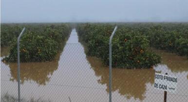 El campo tardará meses en resurgir de los daños del temporal y avisa: «la cesta de la compra subirá mucho»