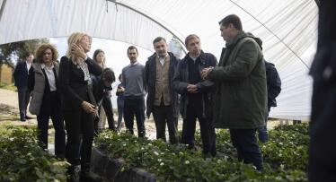 El Ministerio pide a la Comisión Europea que active el fondo agrícola de crisis para las zonas afectadas por el temporal