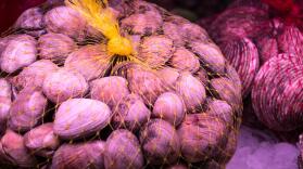 Restaurante Marisquería Casa Paco