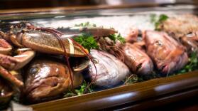 El Mesón de Andrés