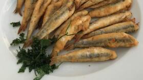 El Refectorium Malagueta