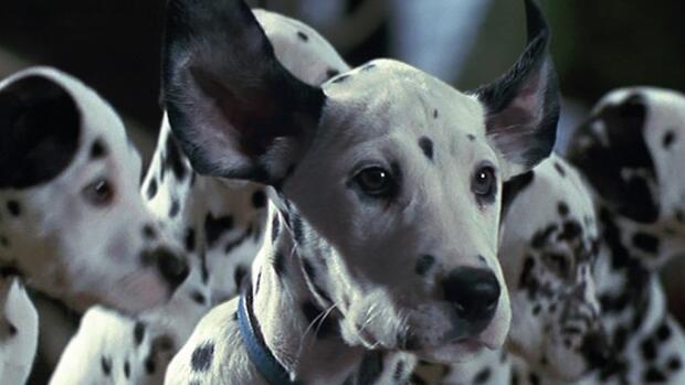 101 Dalmatas Mas Vivos Que Nunca 1996 Pelicula Play Cine