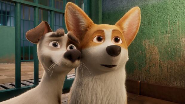 Corgi Las Mascotas De La Reina 2019 Pelicula Play Cine