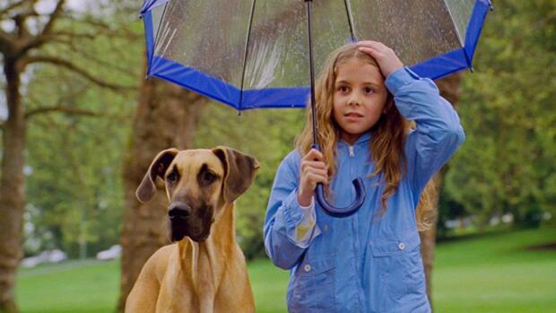 Chestnut, el héroe de Central Park (2004) Película - PLAY Cine