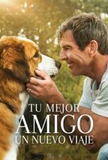 Cartelera En Cinesa Las Rozas Heron City 3d Madrid Play Cine